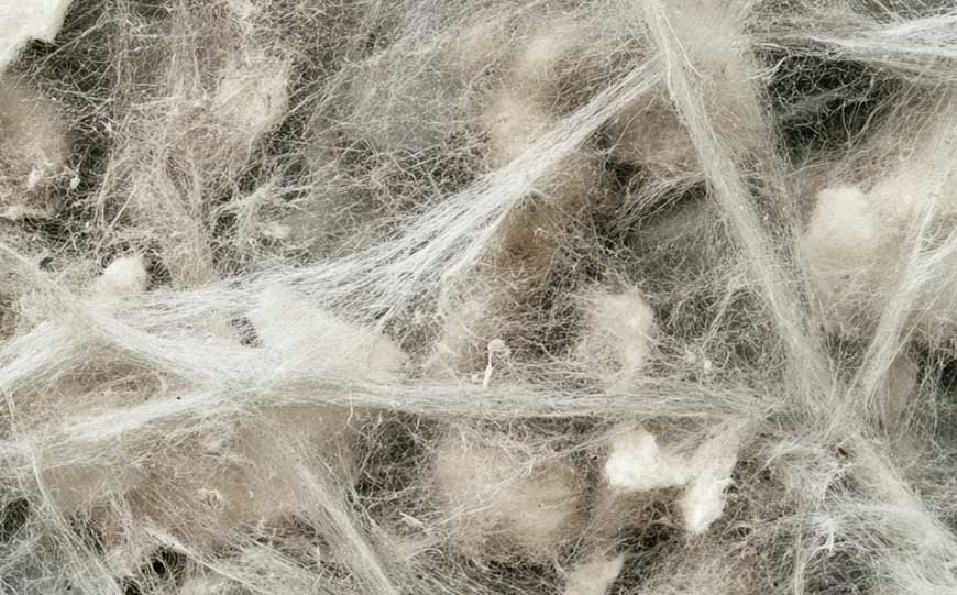 why asbestos in schools dangerous